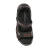Honduras 46 dark brown