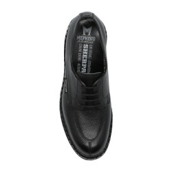 Pegasio Black