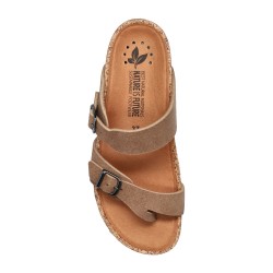 Maliza 31 camel