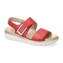 Lilia 7841 scarlet