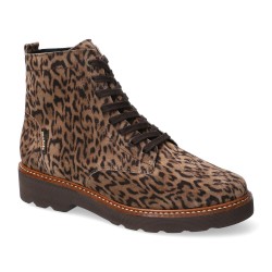 Odalia 25358 Brown