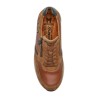 Dino 3644 Tobacco
