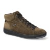 Hassan 3619 Moss