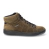 Hassan 3619 Moss