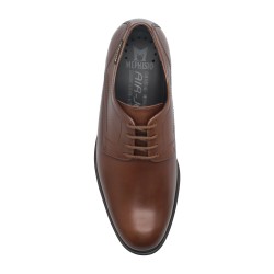 Kevin 32658 brown