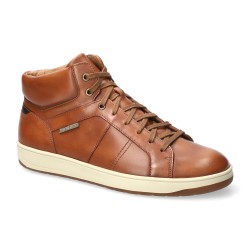Hassan 6135 Hazelnut