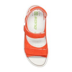 Norine 3654 Tangerine